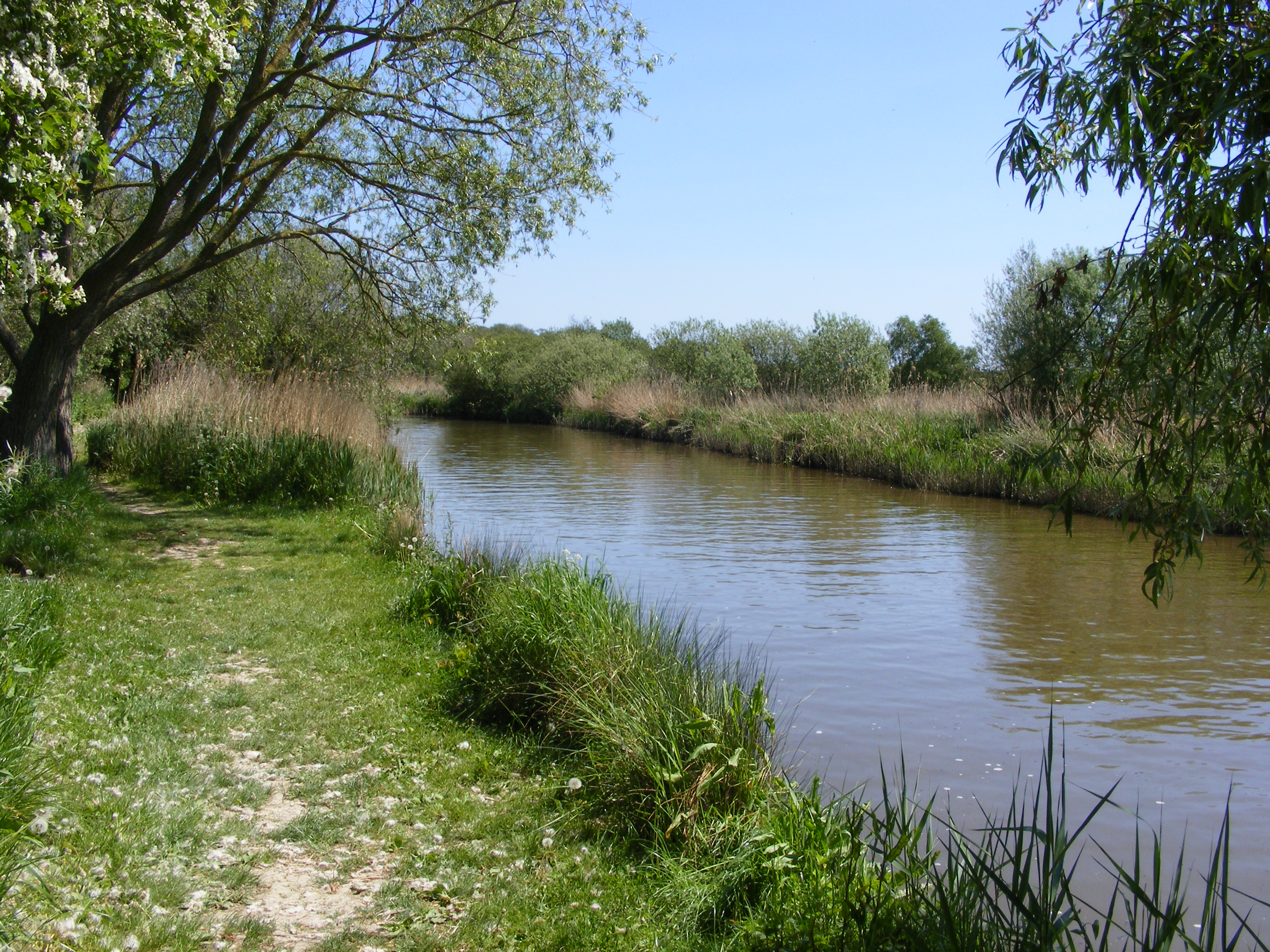 River Chet.jpg