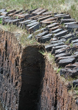 Peat Digging 3.png