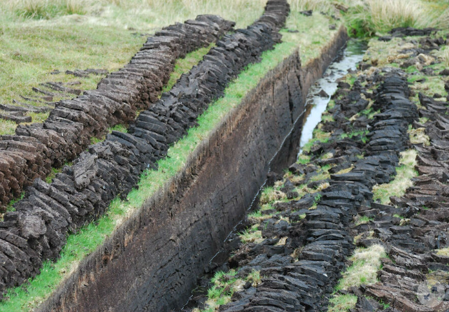 Peat Digging 2.png