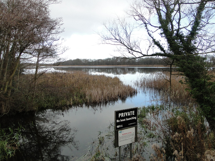 Filby Broad.jpg