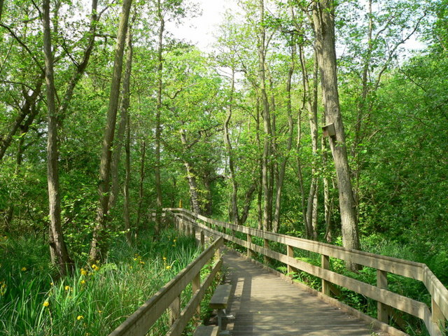 Barton_Broad_Boardwalk.jpg