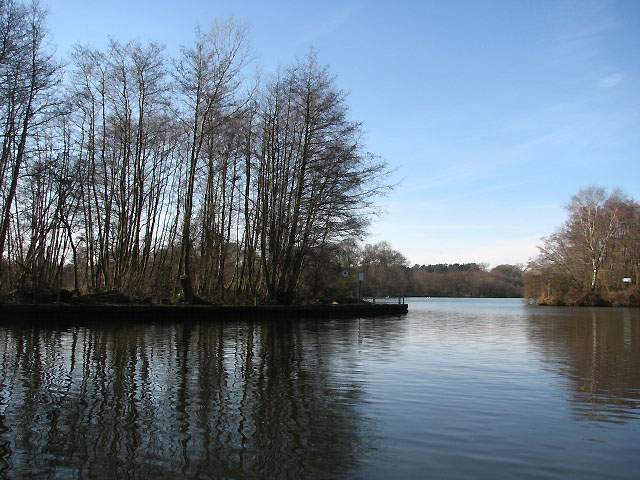Salhouse_Broad.jpg