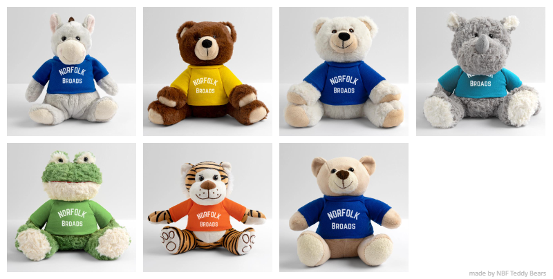 NBF Teddy Bears.png