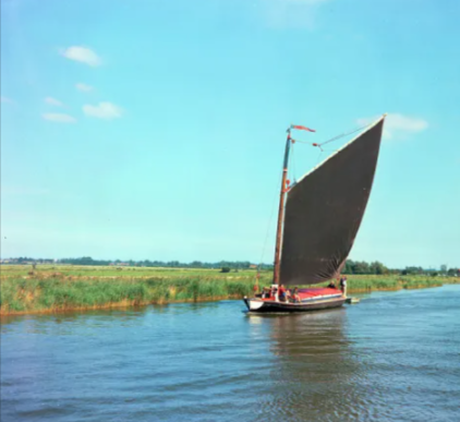 wherry (5).png